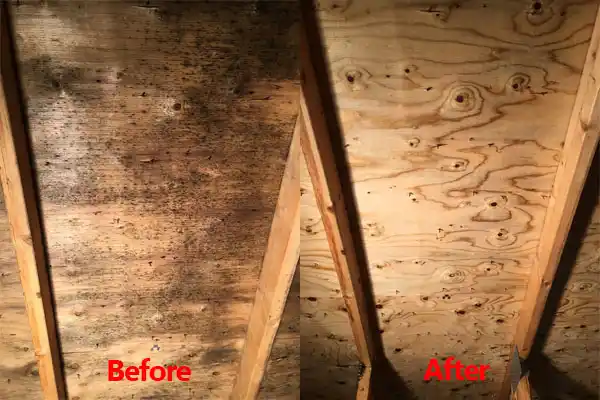 water damage restoration service Stone Ridge